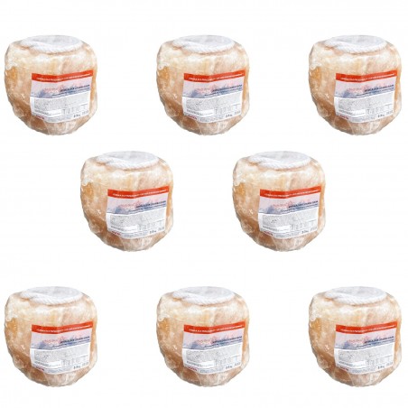 Lizawka Himalajska 2 -3 kg x 8 szt.