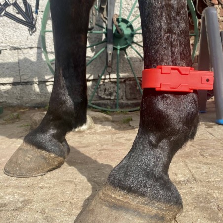 Identification band Plastic - red