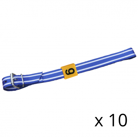 Identification collar Premium 100 KS x 10 pcs.