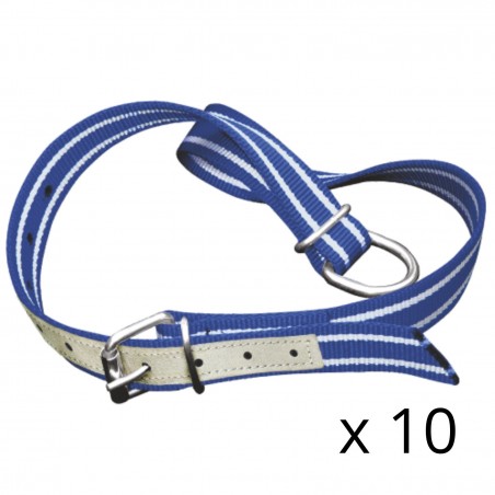 Collar for calves with leather reinforcement 85 KSD x 10 pcs.