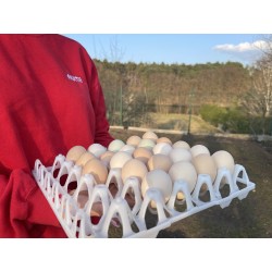 Plastic container for 30 eggs
