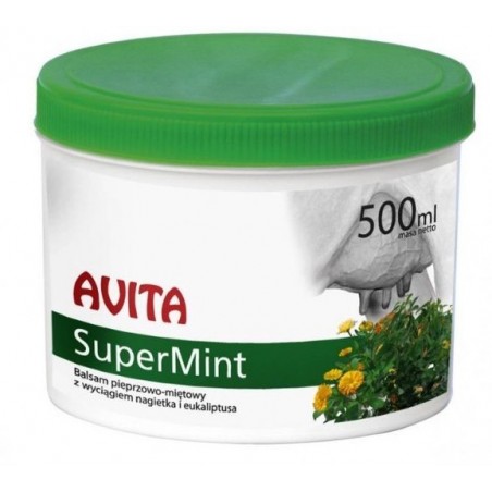 SuperMint container 500 ml