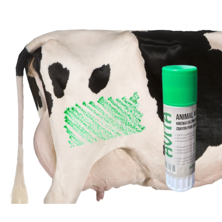 Marking crayon green 60g