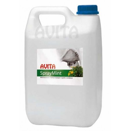 SprayMint 5 l