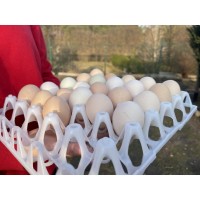 КОНТЕЙНЕРЫ ДЛЯ ЯИЦ